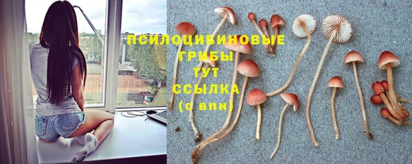 СК Белоозёрский