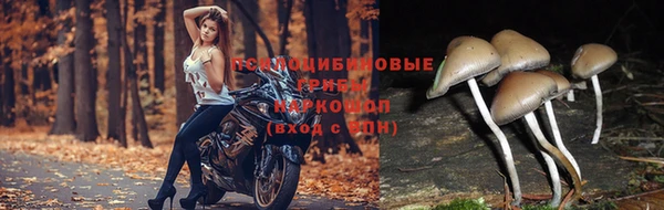 мефедрон VHQ Белокуриха