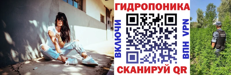 Каннабис конопля Киренск
